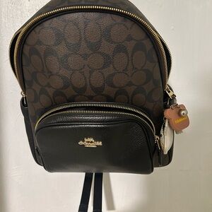 Coach court backpack